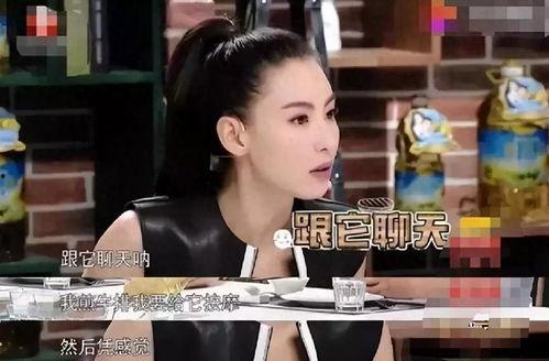 演艺圈明星系列长篇 独家爆料大全免费观看,揭秘娱乐圈背后的真相与秘密