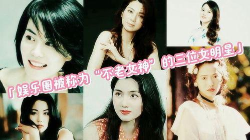 演艺圈明星系列长篇 独家爆料大全免费观看,揭秘娱乐圈背后的真相与秘密