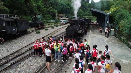 黑料今日黑料热门黑料 社会十大潜规则,黑料热门背后的真相与反思