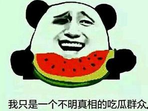 朝阳吃瓜群众网 吃瓜抖音,揭秘抖音热门吃瓜事件